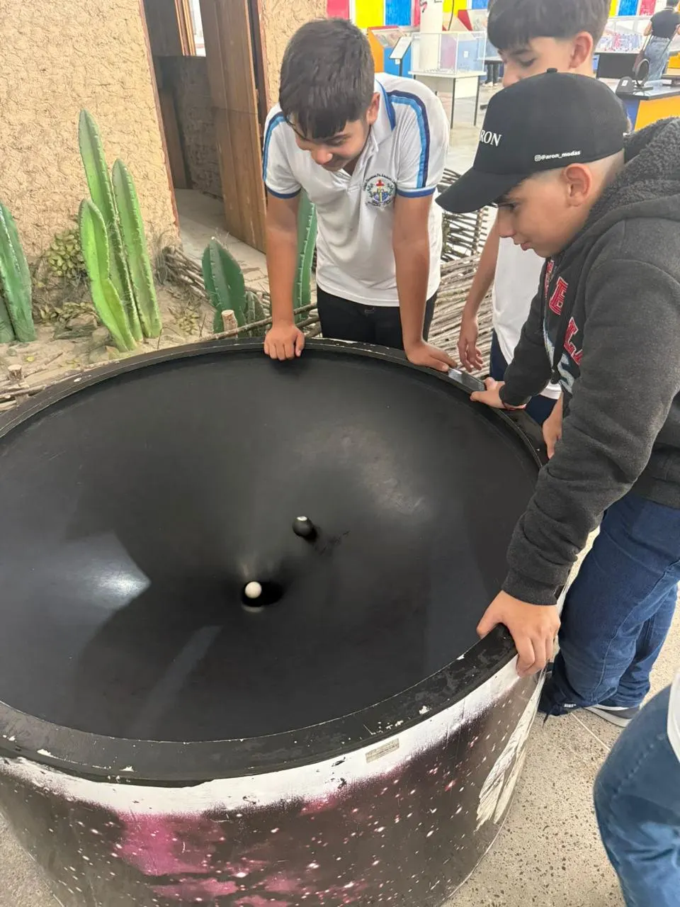 Aulas de Campo — foto 16